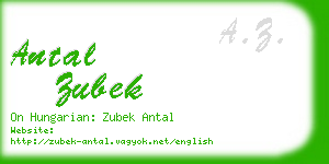 antal zubek business card